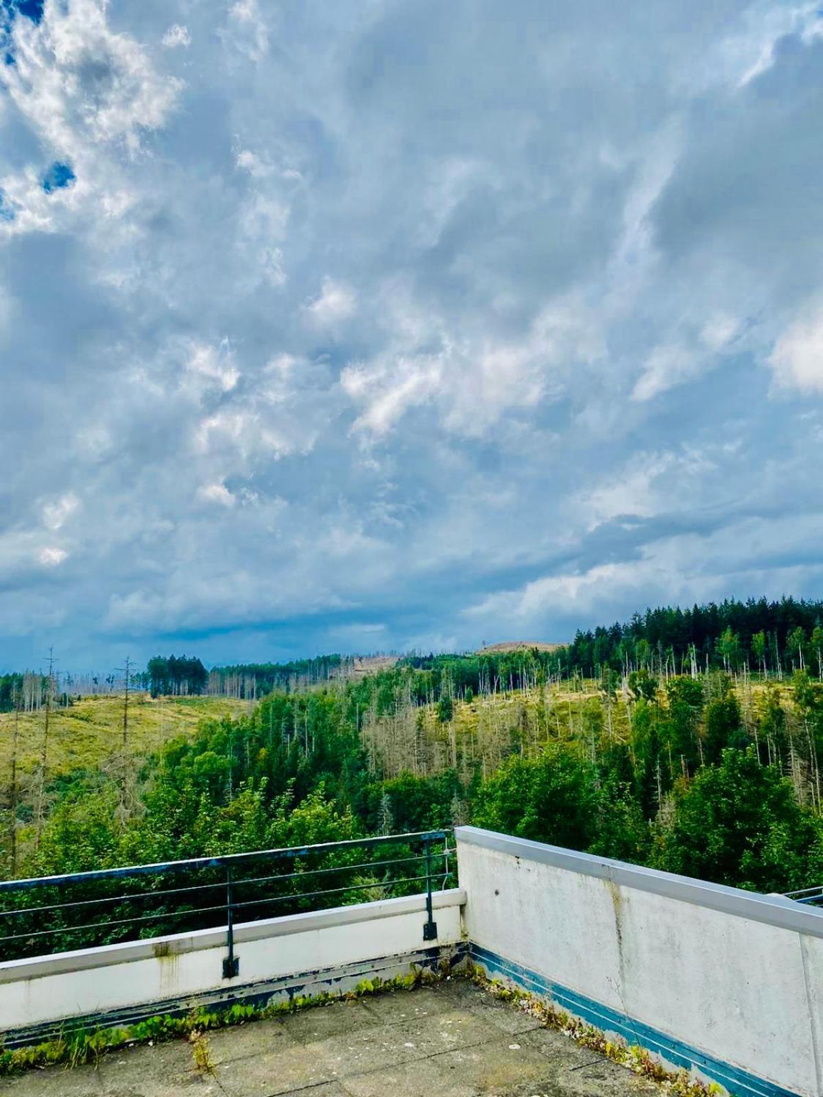Terrassenhaus Im Harz, Pool, Sauna, Wlan ブラウンラーゲ エクステリア 写真