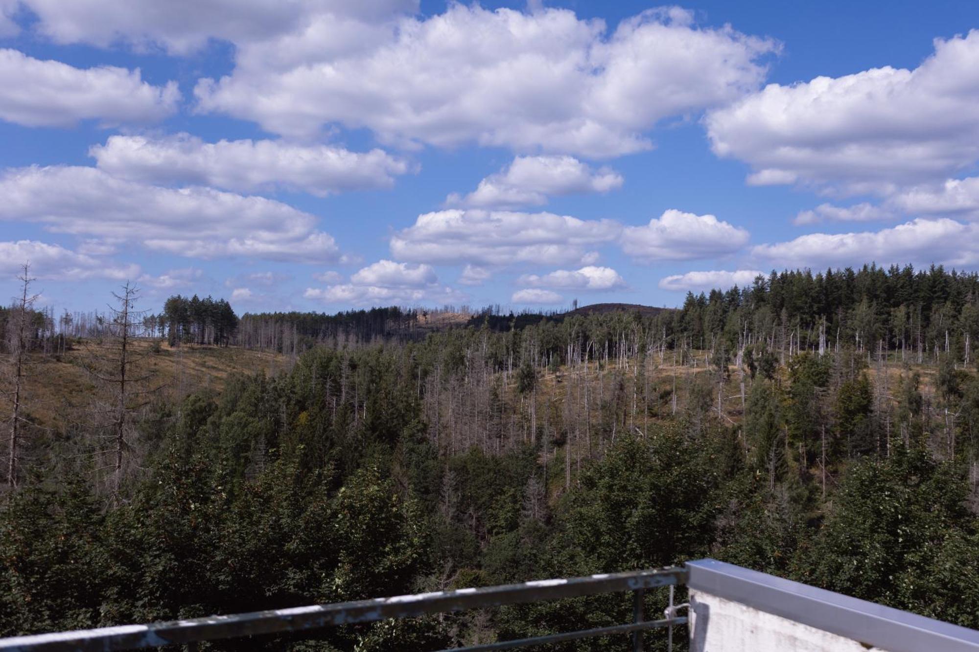 Terrassenhaus Im Harz, Pool, Sauna, Wlan ブラウンラーゲ エクステリア 写真